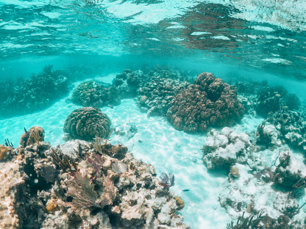 Belize Barrier Reef
