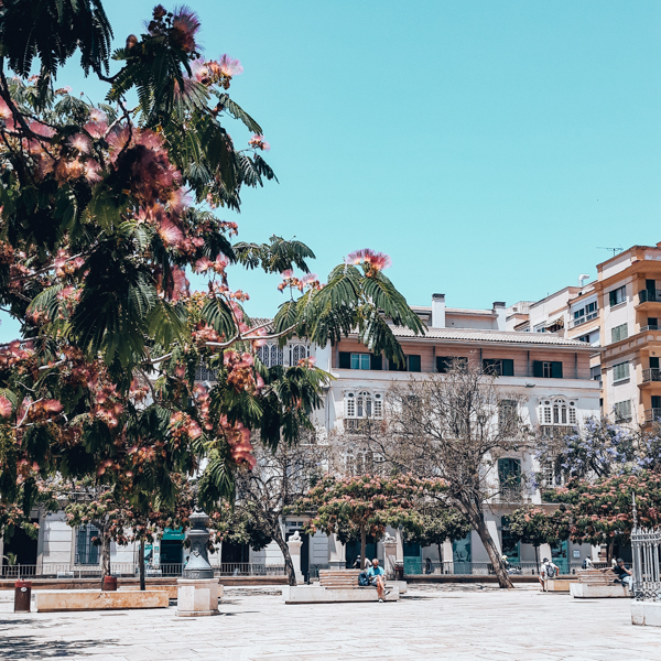 malaga city