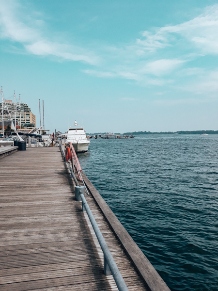 toronto waterfront