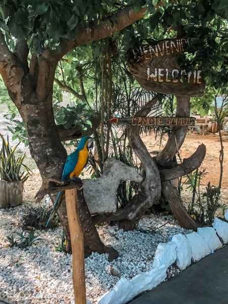 valladolid cenote samula