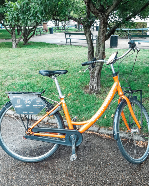 two days in copenhagen bike rental