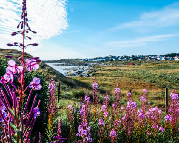 Stop in Haugesund on my Norway Road Trip