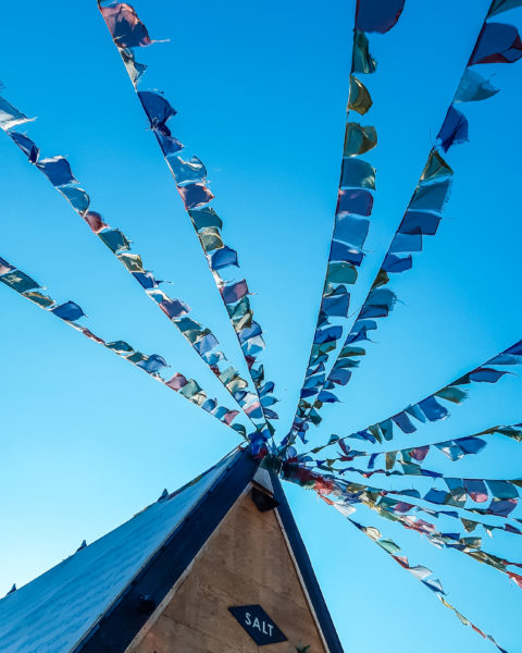 salt restaurant in oslo