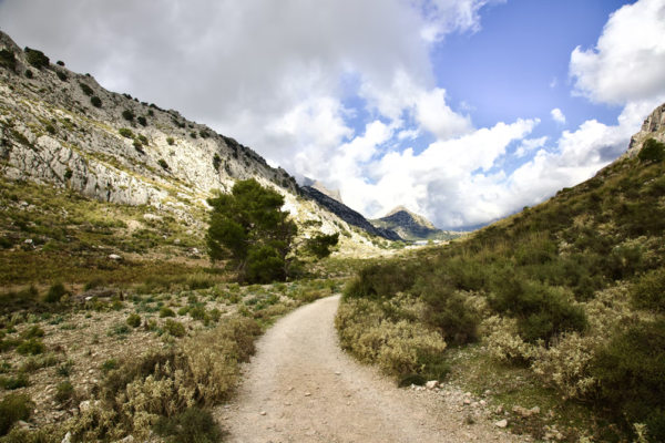 the best hiking trails in mallorca