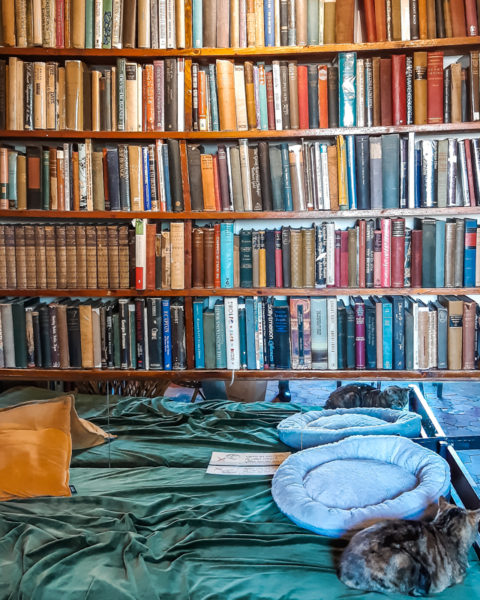 shakespeare & company