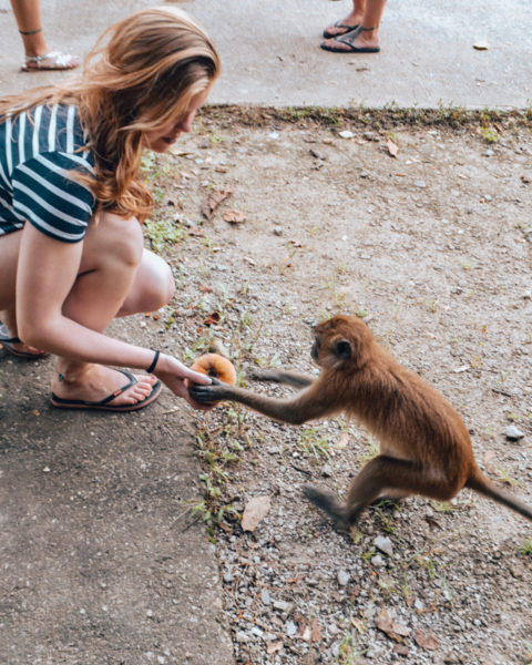 thailand bucket list