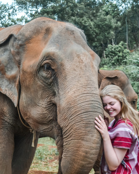 Elephant Sanctuary near chiang mai