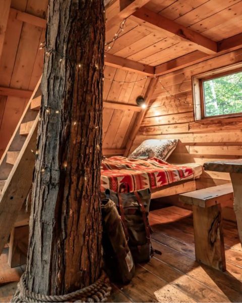 best treehouses canada