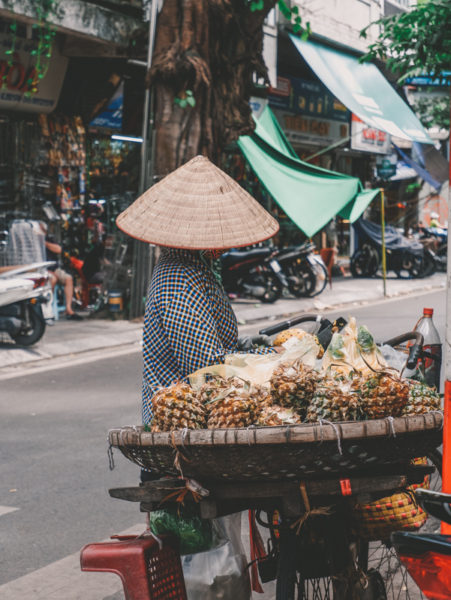 3 weeks in vietnam