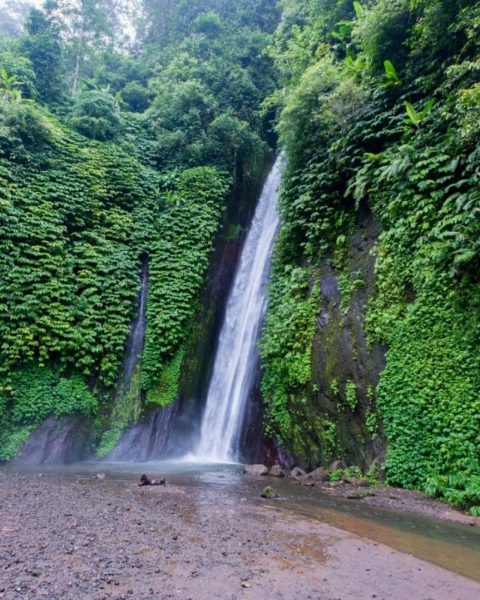 bali waterfall