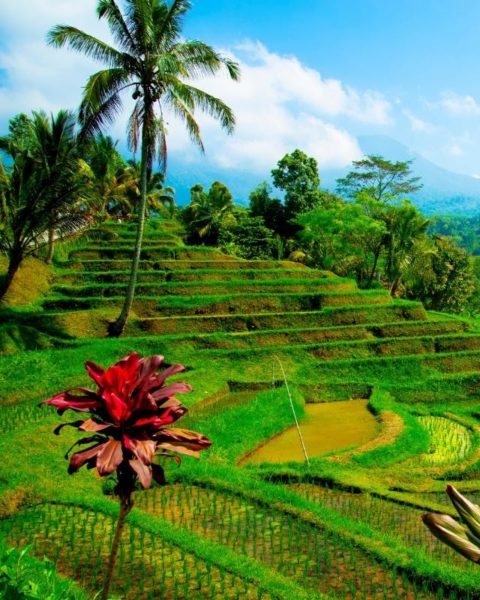 bali bucket list for adventure seekers