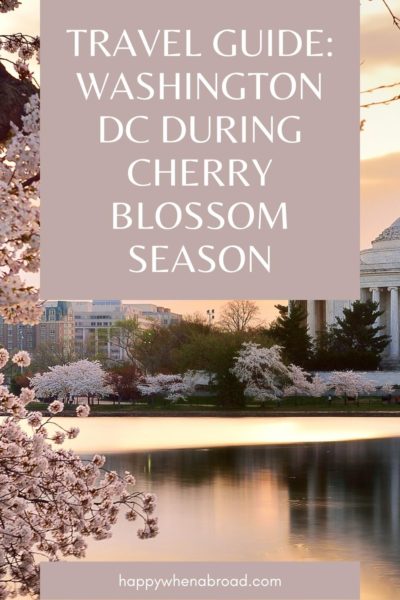 dc cherry blossom pinterest