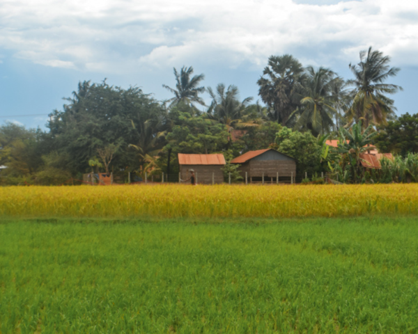 cambodia bucket list activities