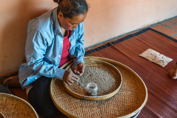 pepper plantation cambodia bucket list
