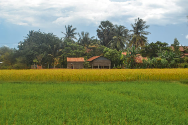 Phnom Penh off the beaten path: Exploring the hidden gems