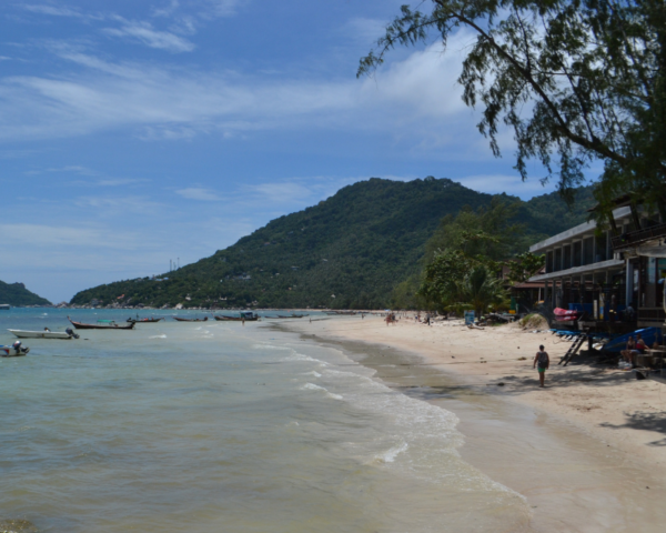 beach in koh tao