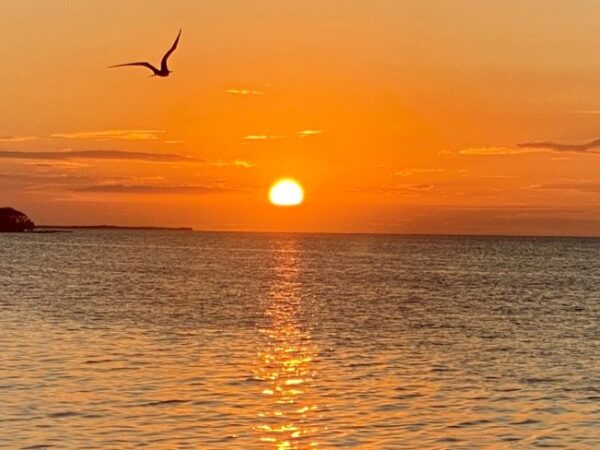 sunsets in caye caulker