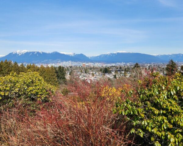 queen elizabeth park vancouver