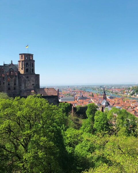 view over heidelberg germany