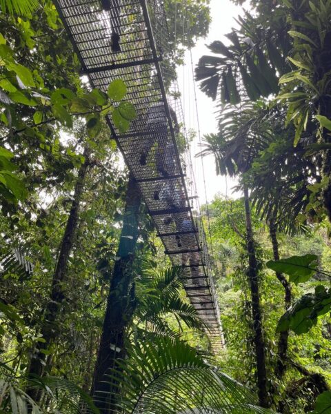 mistico hanging bridges park