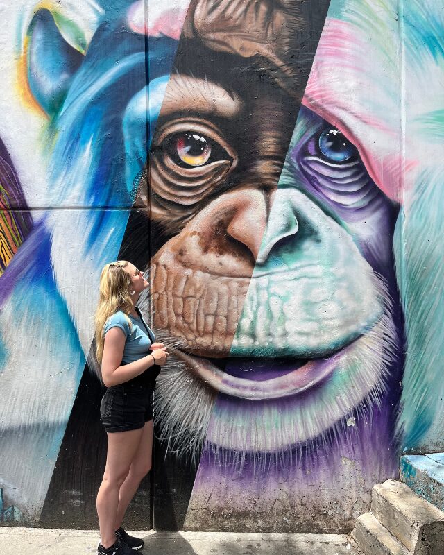 street art in comuna 13 monkey