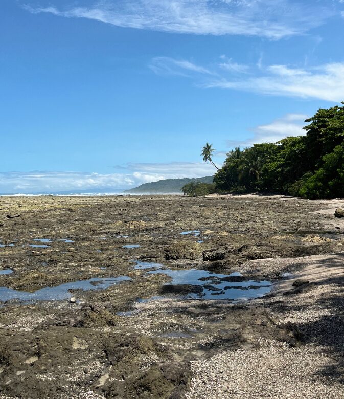 mal pais tide pools