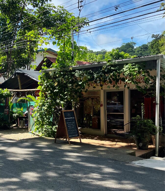 shopping in santa teresa