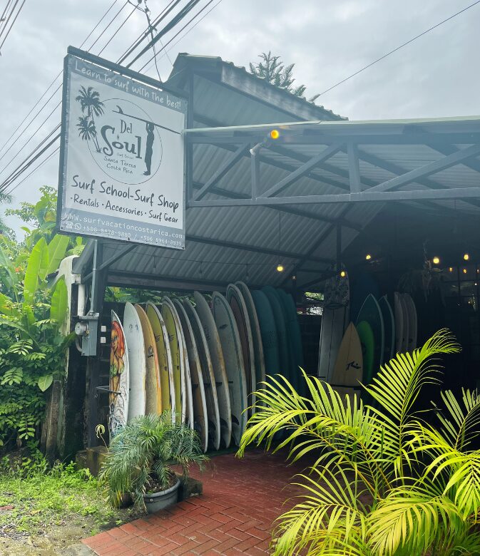 surf school santa teresa