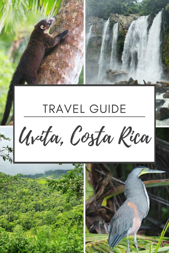 travel guide uvita costa rica