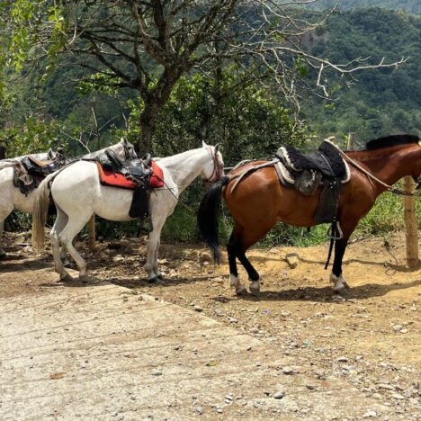 2-Day Salento Itinerary: Visiting Colombia’s Most Charming Village