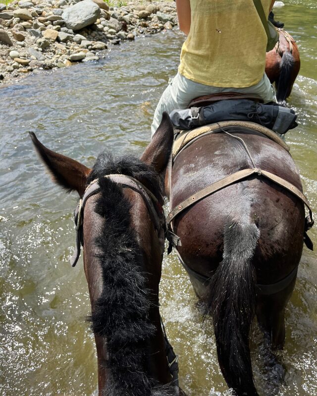 horseback riding through the river