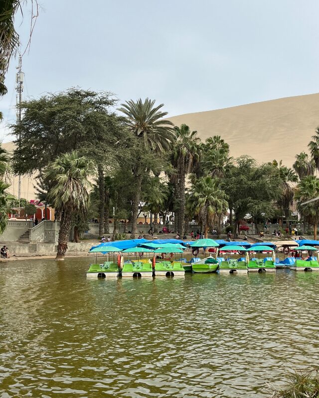 desert oasis peru