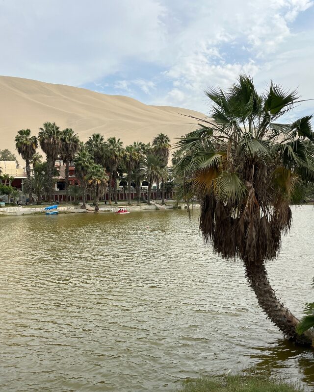 ica oasis peru
