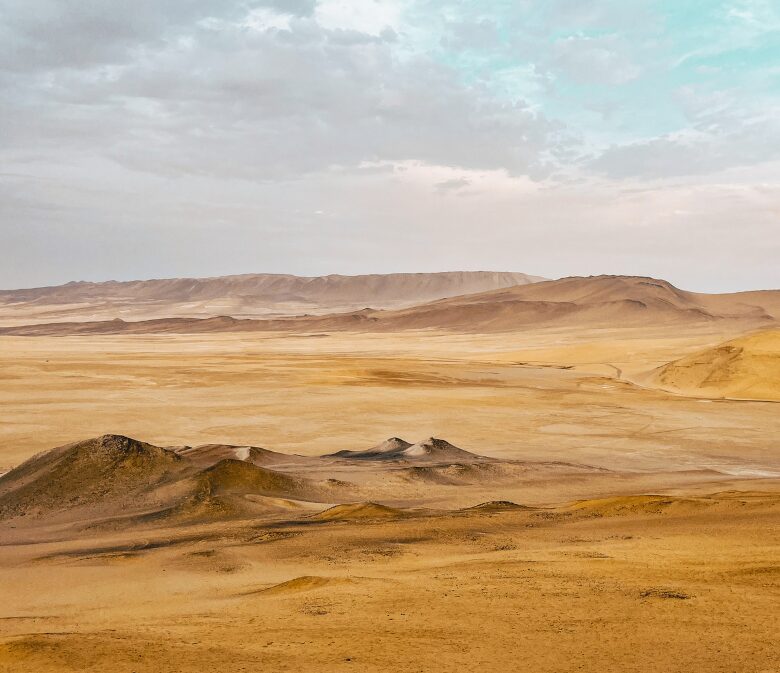 paracas national reserve