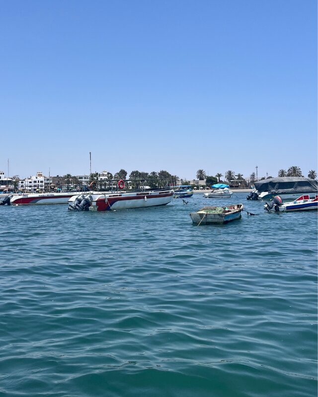 paracas harbor