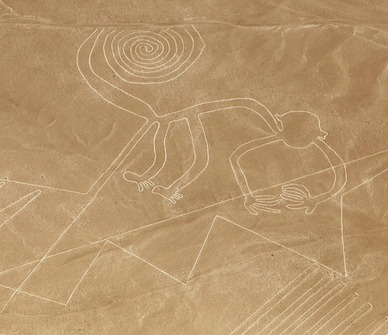 flying over the nazca lines is a true peru bucket list activity