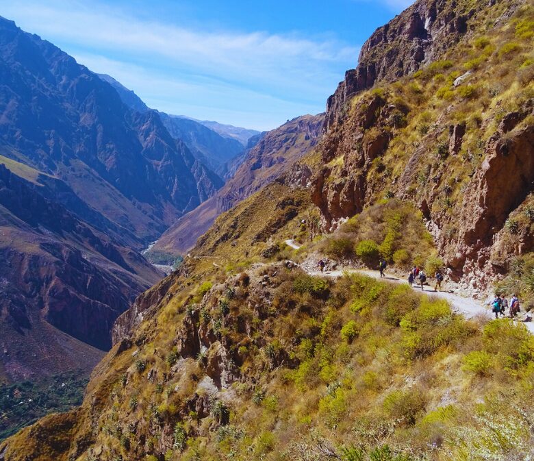 colca canyon trek arequipa