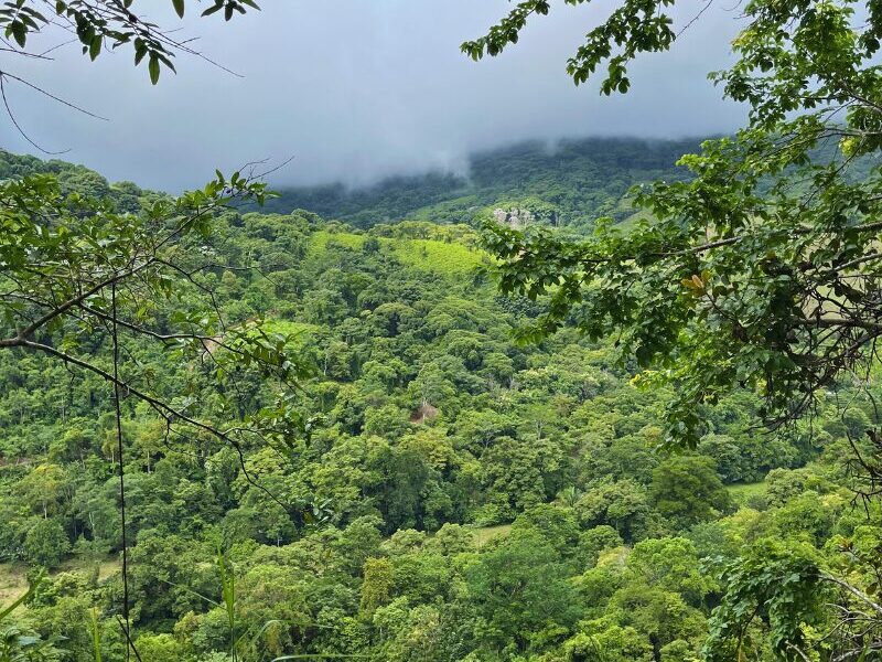 8 Best National Parks in Costa Rica for Nature-Lovers