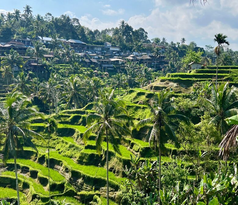 Tegallalang Rice Terraces