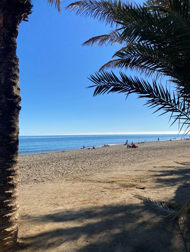 malaga beach