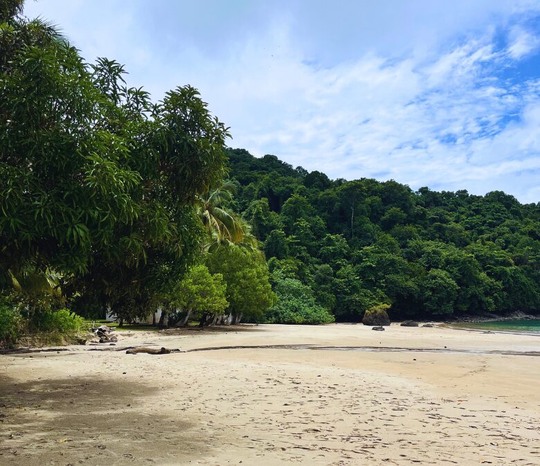 isla coiba tour review