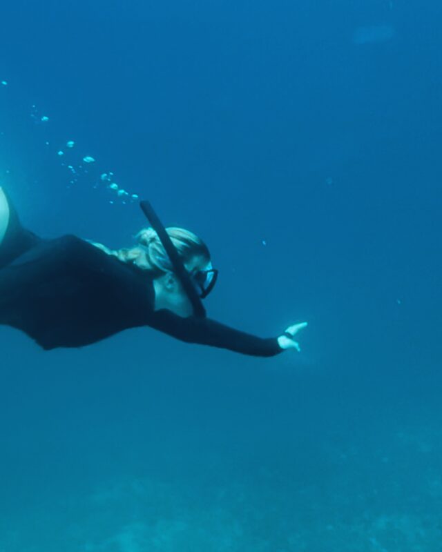 snorkeling in coiba national park