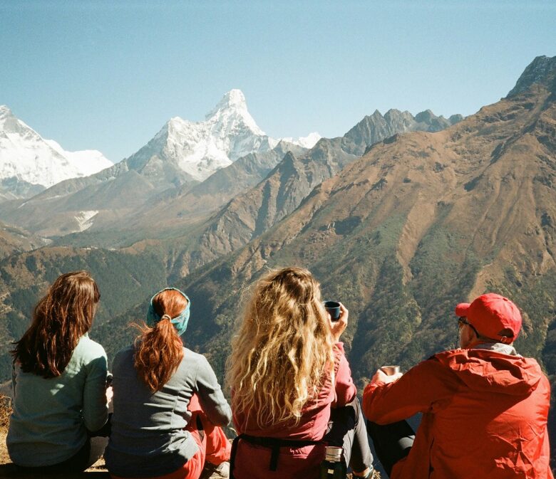 tourhero vs trovatrip