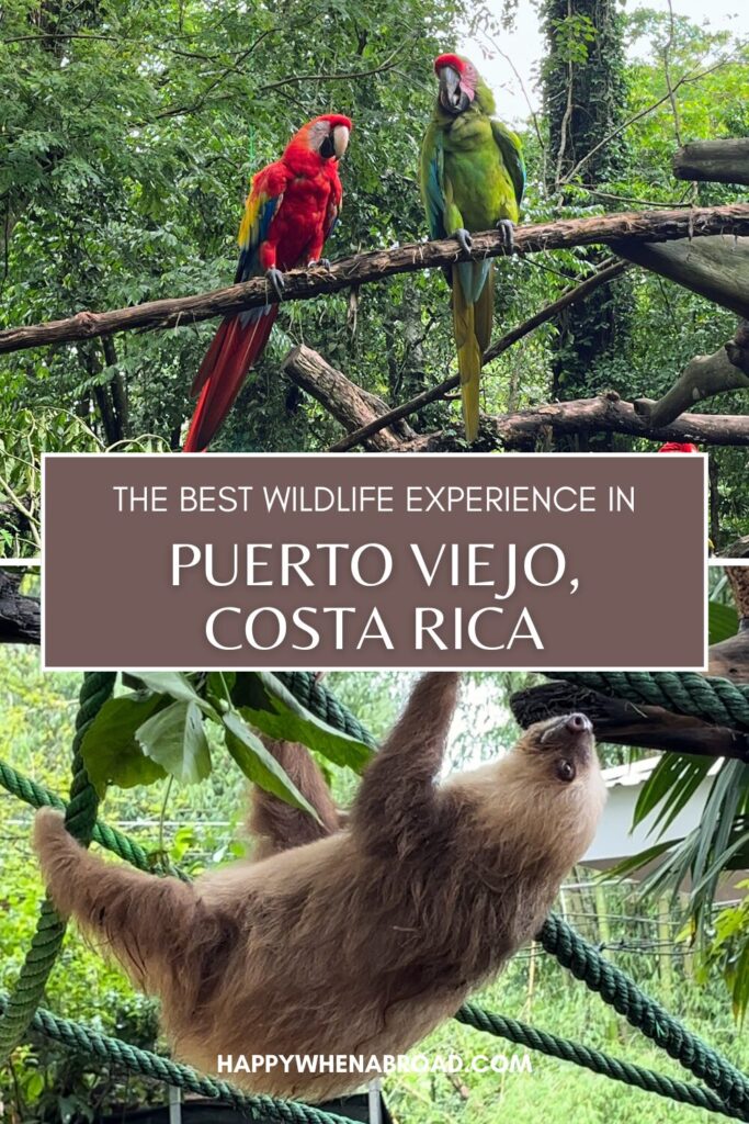 where to see wildlife in puerto viejo costa rica