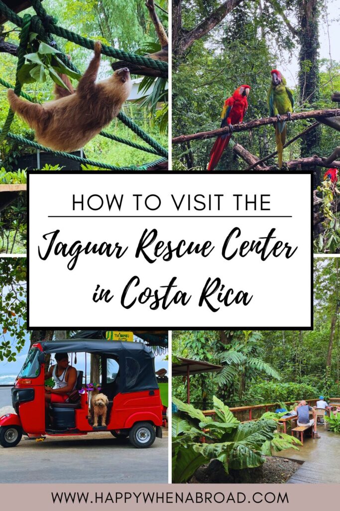 how to visit the jaguar rescue center in puerto viejo de talamanca