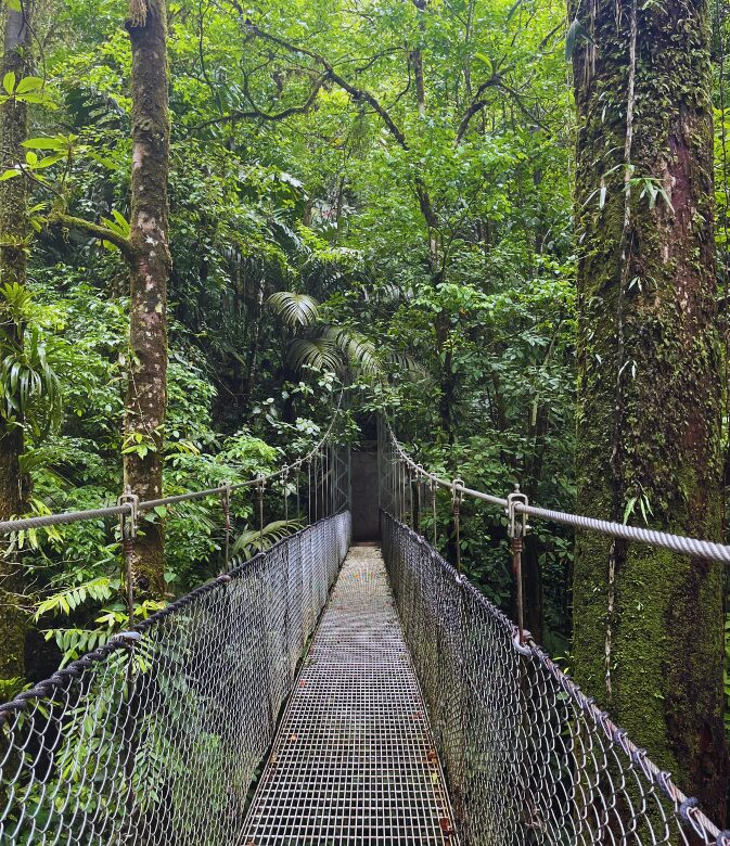 a hanging bridge in the middle of nature in mistico park la fortuna