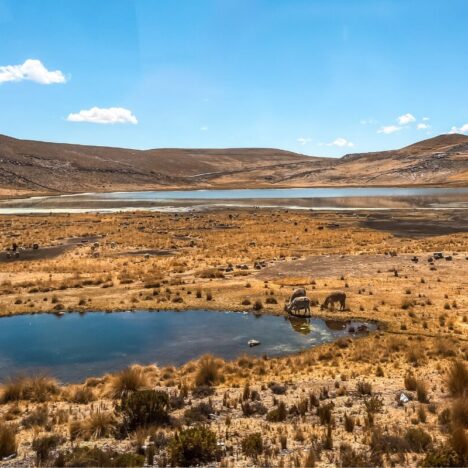 How to Spend One Day in Huacachina, Peru – Travel Itinerary