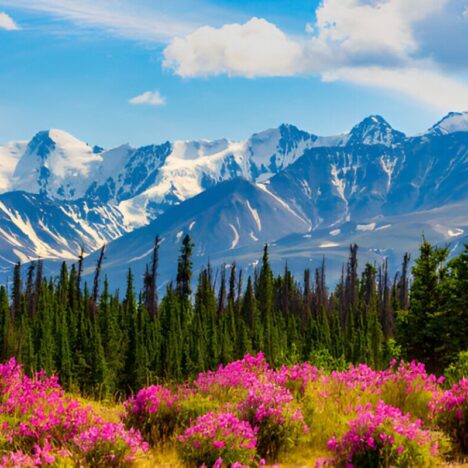 How to Find Trusted Travel Recommendations with Plannin