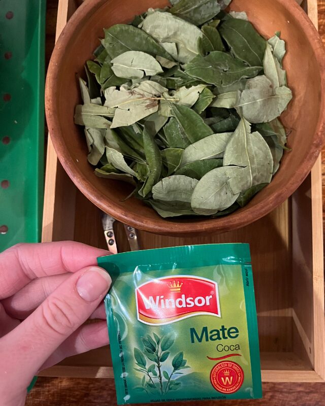 coca leaves and coca tea in bolivia