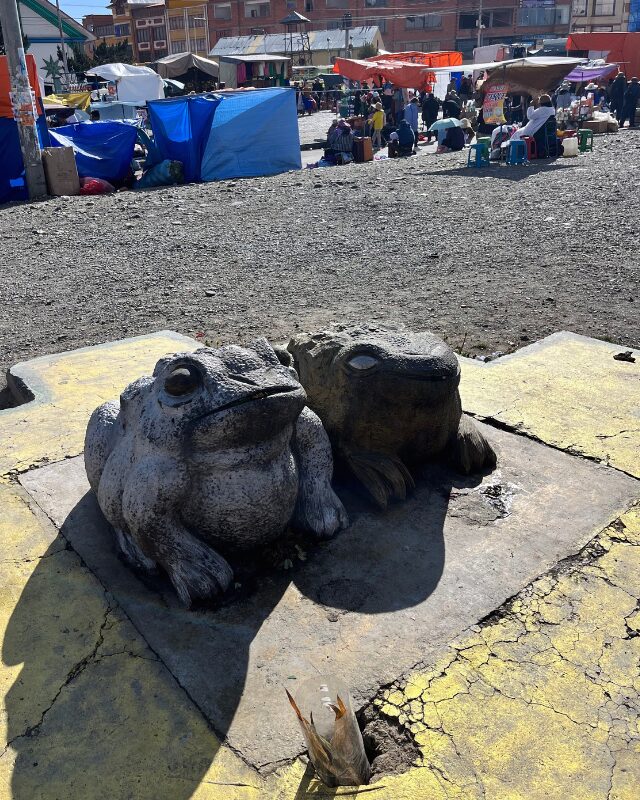 frogs symbolism in bolivia